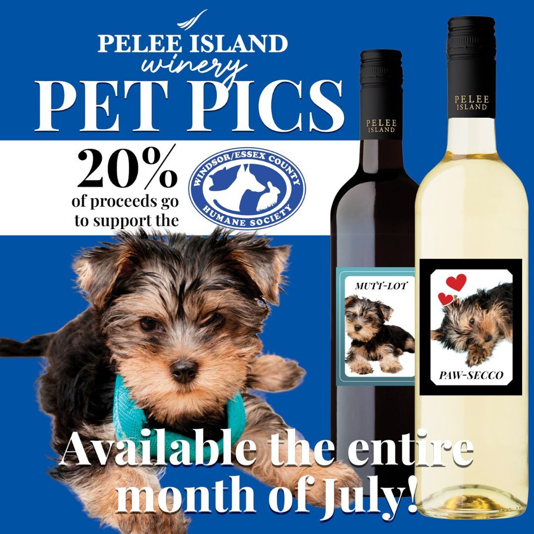thumbnail_PetPics_square